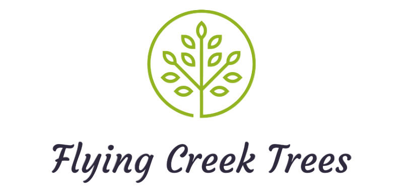 Flying Creek Trees Logo in Regina
