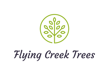 The Flying Creek Mission