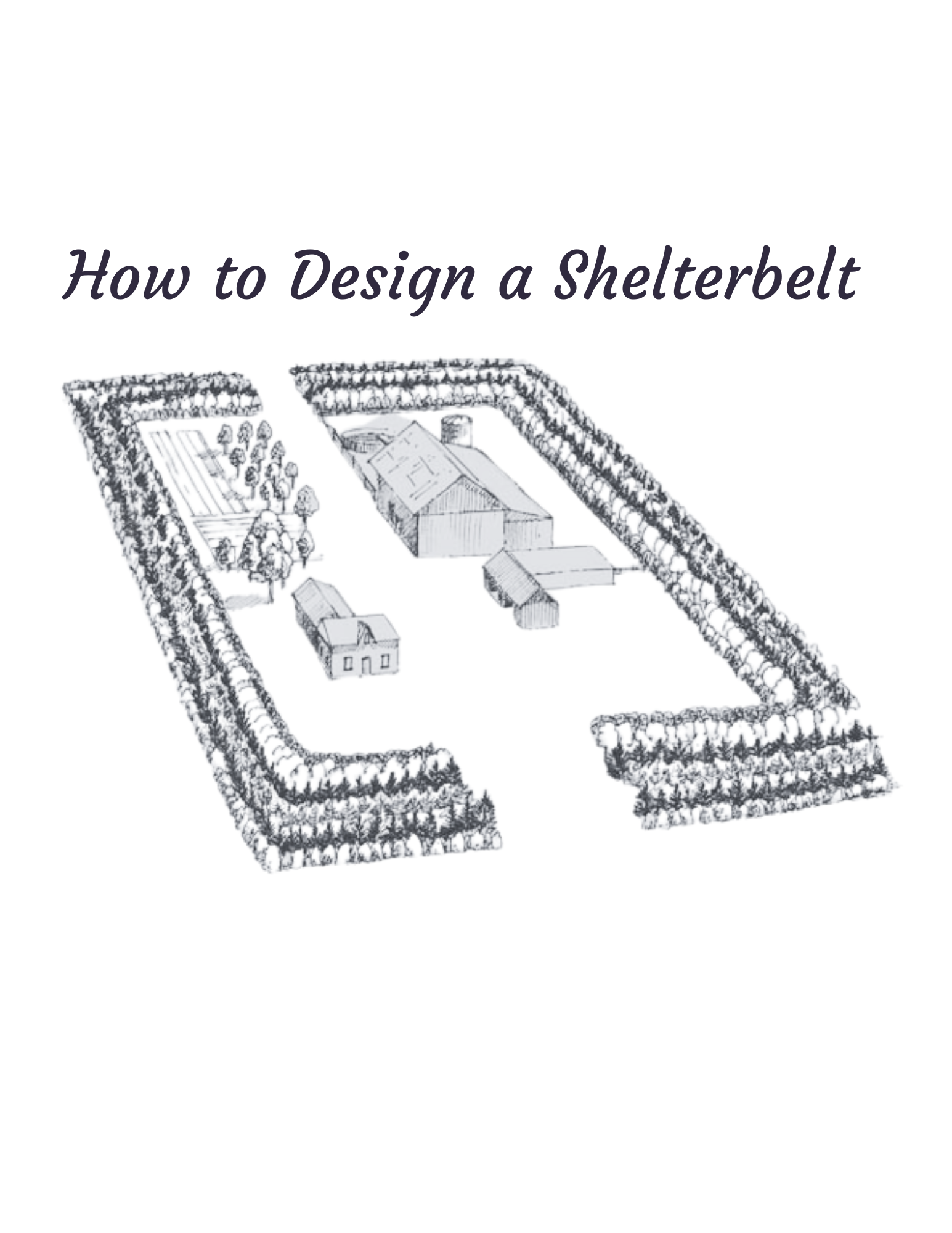 How to Design a Shelterbelt: Windbreaks for Protection – Flying Creek Trees