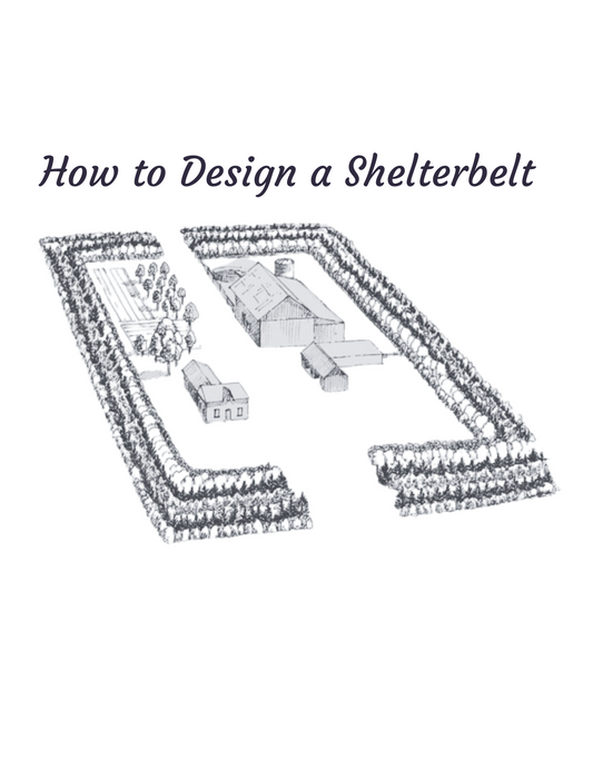 How to Design a Shelterbelt