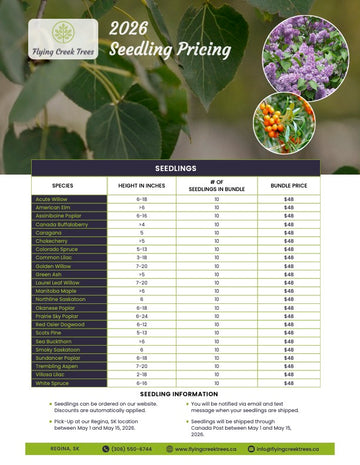 2026 Seedling Price List