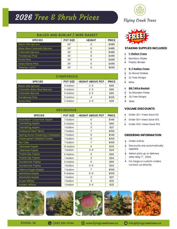 Pricing Tree Tree Price List – Flying Creek Trees