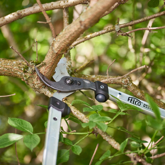 High Quality Swiss Made Felco Loppers for Landscaping, Available at Flying Creek Trees in Regina
