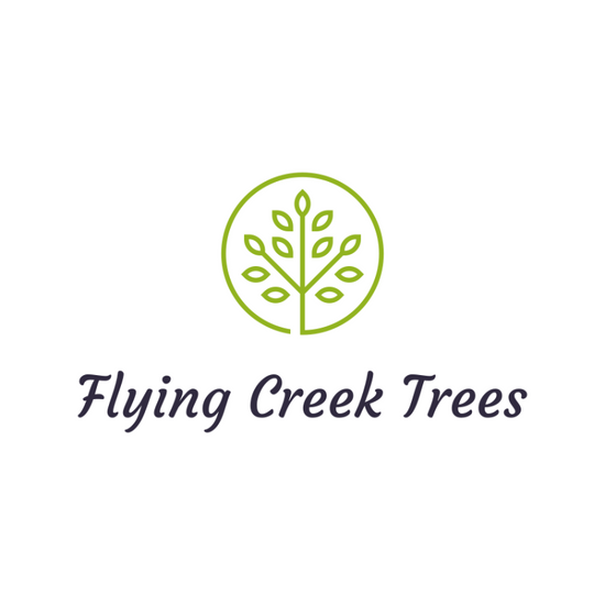 Flying Creek Trees Logo in Regina