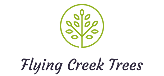 Flying Creek Trees Logo in Regina