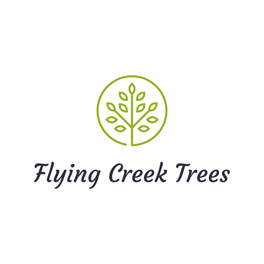Flying Creek Trees Logo in Regina