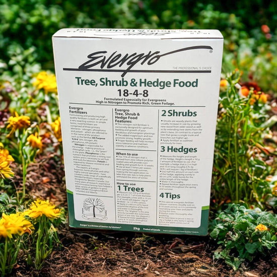 fertilizer for hedge plants Evergro Tree, Shrub & Hedge Fertilizer