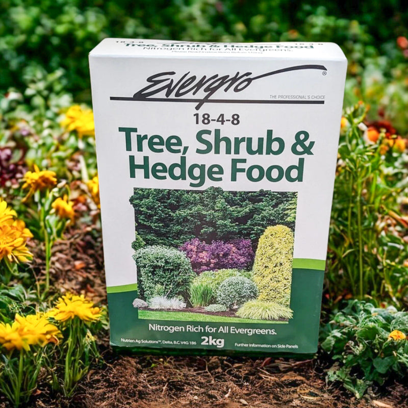 Evergro Tree, Shrub  & Hedge Fertilizer - 2 kg